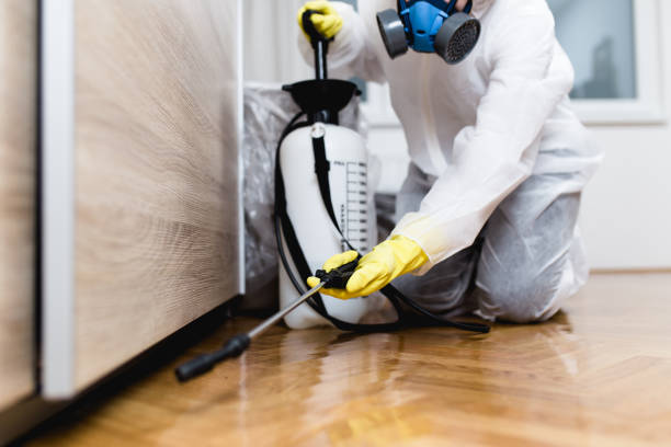 Best Best Pest Control Companies  in Tallmadge, OH