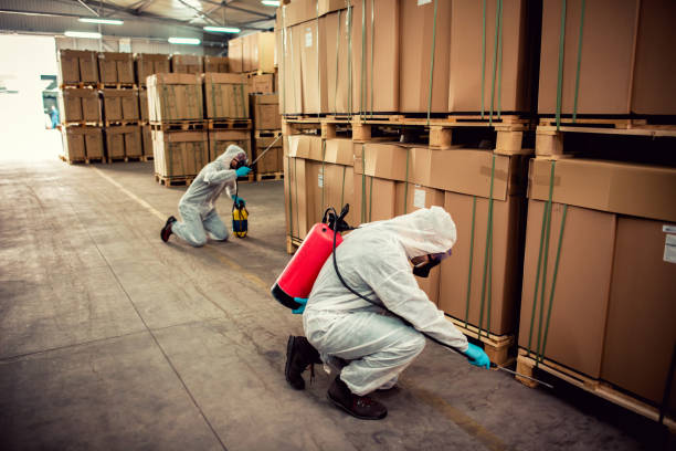 Professional Pest Control in Tallmadge, OH