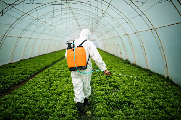 Pest Prevention Services in Tallmadge, OH