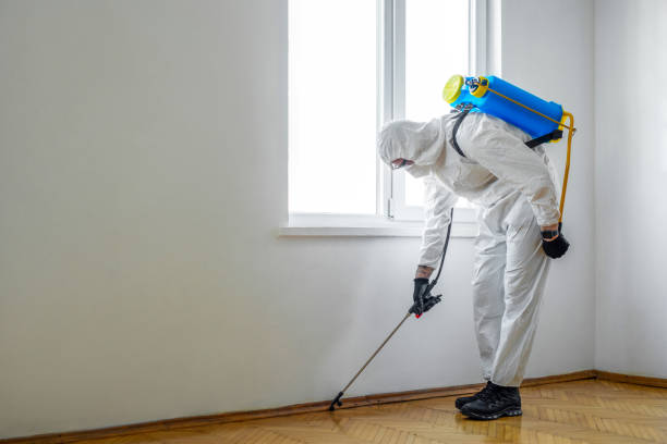 Best Local Pest Control Services  in Tallmadge, OH