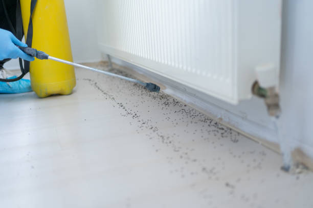 Best Commercial Pest Control Services  in Tallmadge, OH